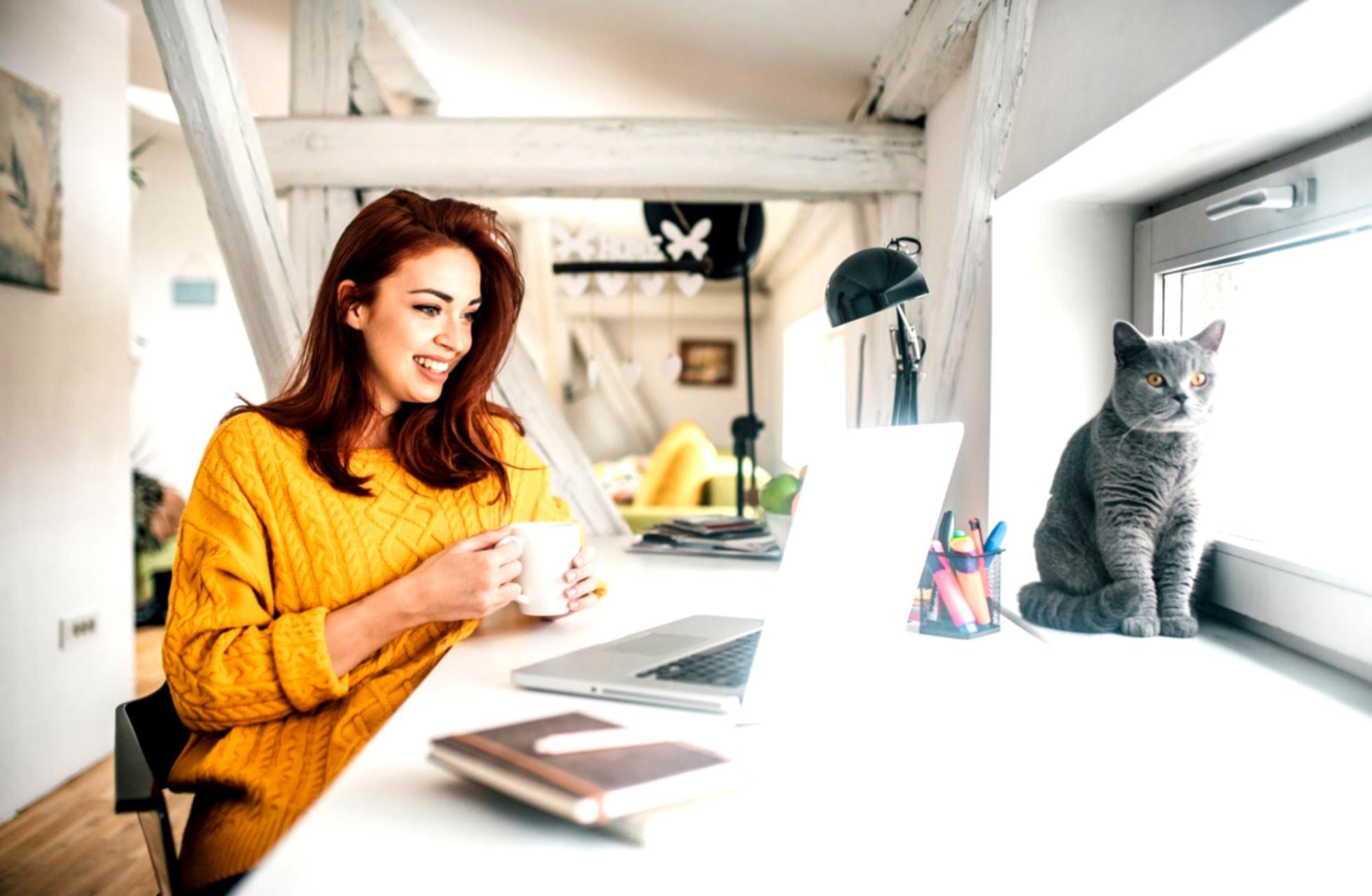 Interaktive Webinar-Sessions mit Live-Diskussionen